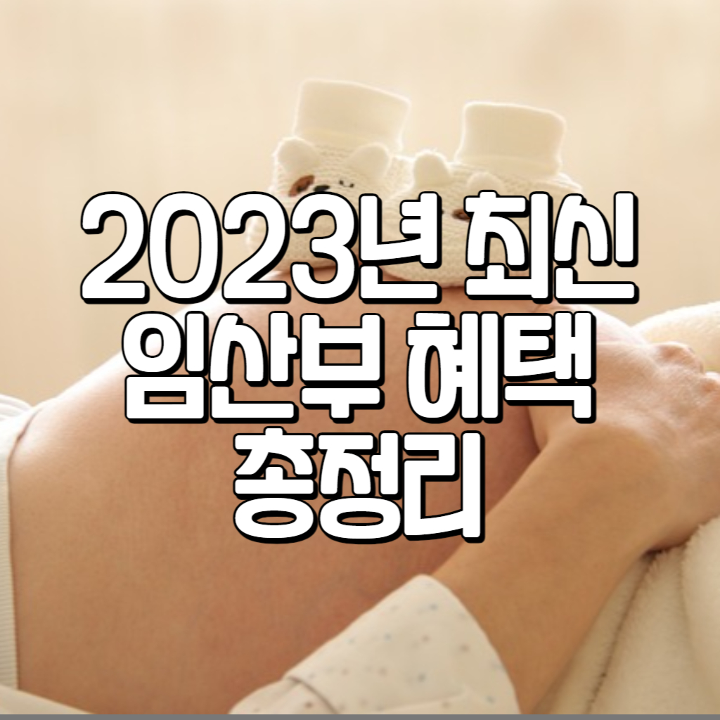 2023년 최신 임산부 혜택 총정리 | 모두의 정보